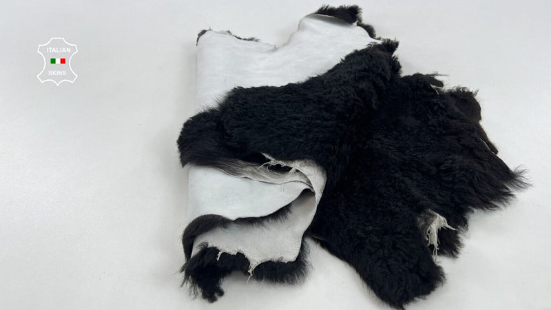 DARK BROWN CURLY SHORT Hair On sheepskin shearling 2 skins 16"x28" EACH #C1390