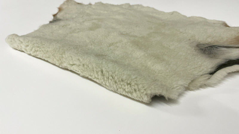 BONES OFF WHITE sheepskin shearling fur hairy sheep leather skin 11"X23" A9261